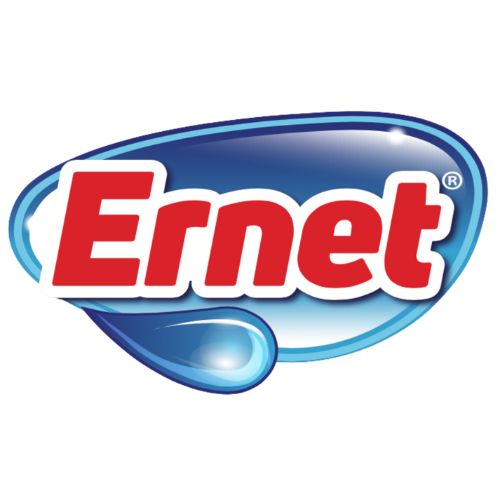 ERNET_logo